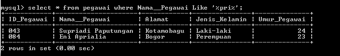 C:\Users\Aras\Documents\Tugas semester 1\Basis data\Tugas besar\7 Like, Order by, Grup By, Asc, Des\Like\Pegawai\Like 42.PNG