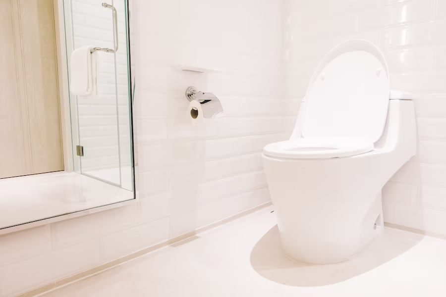 A toilet in a bathroomDescription automatically generated