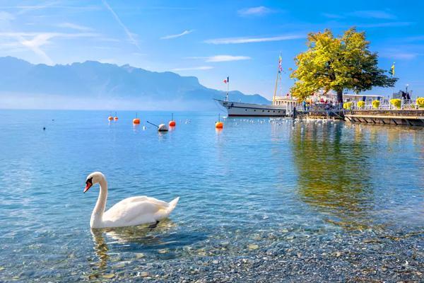 10 ที่เที่ยวสวิตเซอร์แลนด์ เมืองในฝัน สวยงามเหมือนเทพนิยาย - ทะเลสาบเจนีวา (Lake Geneva)