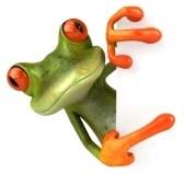 Frog_jump : Frog with a blank sign Stock Photo