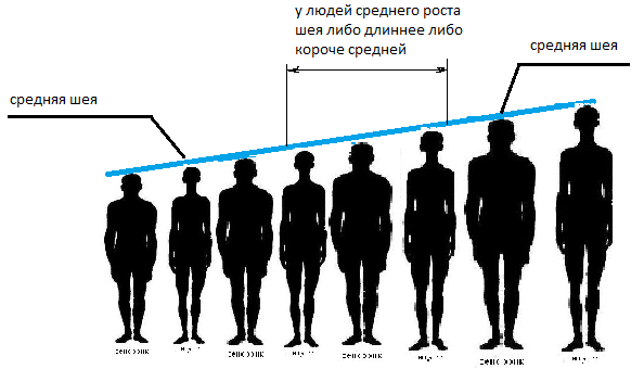 Какого роста была б. Средний рост. Человек среднего роста. Средний рост мужчины. Статистика роста человека.