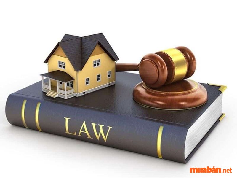  Xem xét vấn đề pháp lý kỹ lưỡng