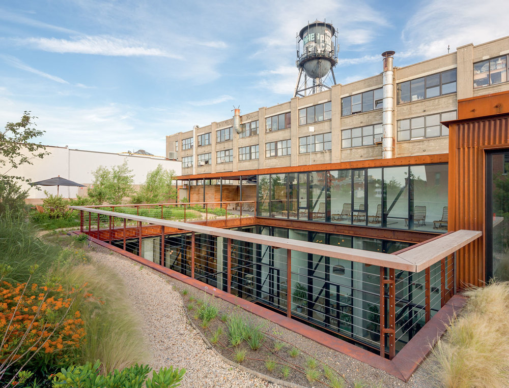 Large rooftop area filled with plants on top of Kickstarter's HQ in Brooklyn