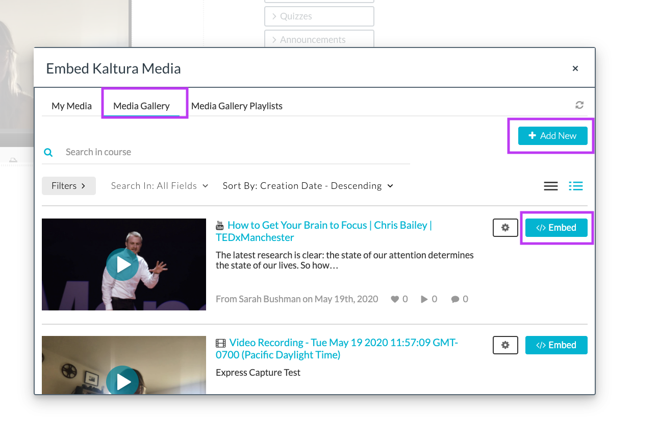 Screenshot of the Embed Kaltura Media window with the Media Gallery tab, +Add New button, and the Embed button highlighted
