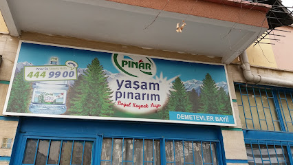 Pınar Su