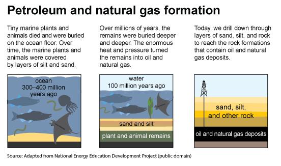 Three images,  about Petroleum & Natural Gas Formation. Adapted from the National Energy Education Development Project.
         The first image is about the Ocean 300 to 400 million years ago. Tiny sea plants and animals died and were buried on the ocean floor. Over time, they were covered by layers of sand and silt.
         The second image is about the Ocean 50 to 100 million years ago. Over millions of years, the remains were buried deeper and deeper. The enormous heat and pressure turned them into oil and gas.
         The third image is about Oil & Gas Deposits. Today, we drill down through layers of sand, silt, and rock to reach the rock formations that contain oil and gas deposits.