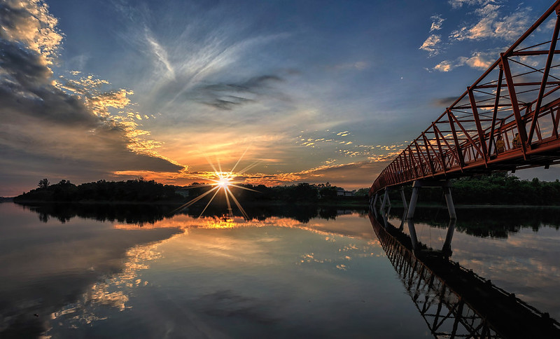 Lorong Halus Wetlands