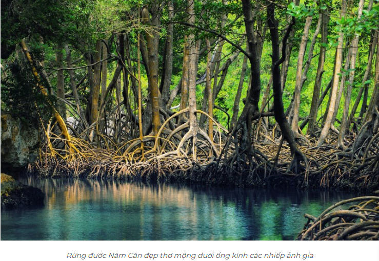 A body of water with trees around itDescription automatically generated with medium confidence