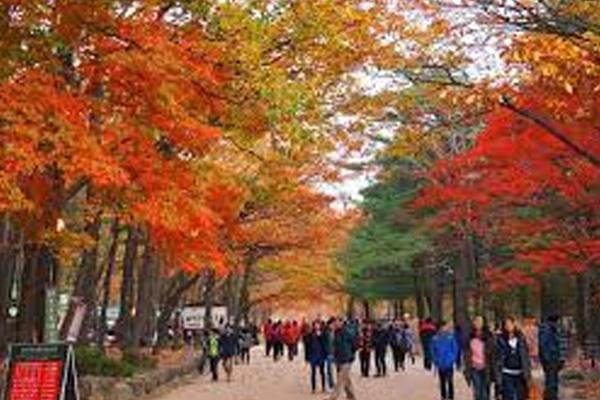 ที่เที่ยวเกาหลี - อุทยานแห่งชาติซอรัคซาน (Seoraksan National Park)