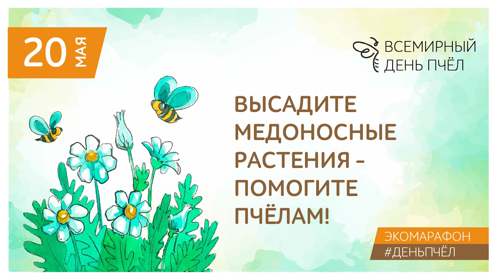 Всемирный день пчёл – большой праздник компании «Тенториум»
