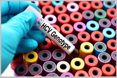 https://www.hepassist.pro/preparaty/wp-content/uploads/2020/03/HCV-Genotypes-Table-400x267.png