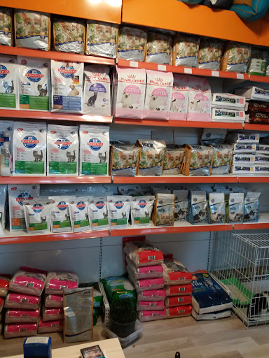 Petfony Petshop ve Pet Kuaför | Maltepe İstanbul - Evcil Hayvan Malzemeleri Mağazası
