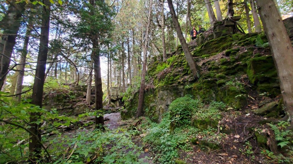 Beautiful Escarpment Landscapes at Limehouse Conservation Area