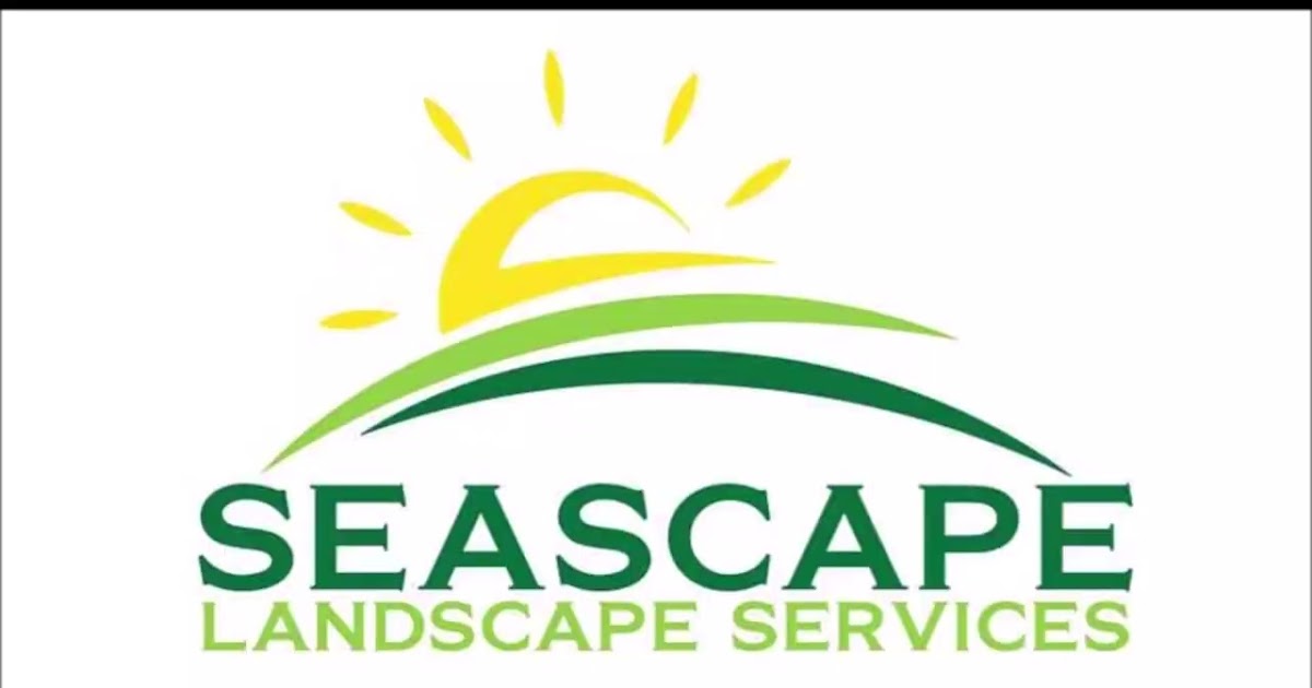 Seascape Landscape Service.mp4