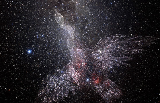 cygnus1.jpg