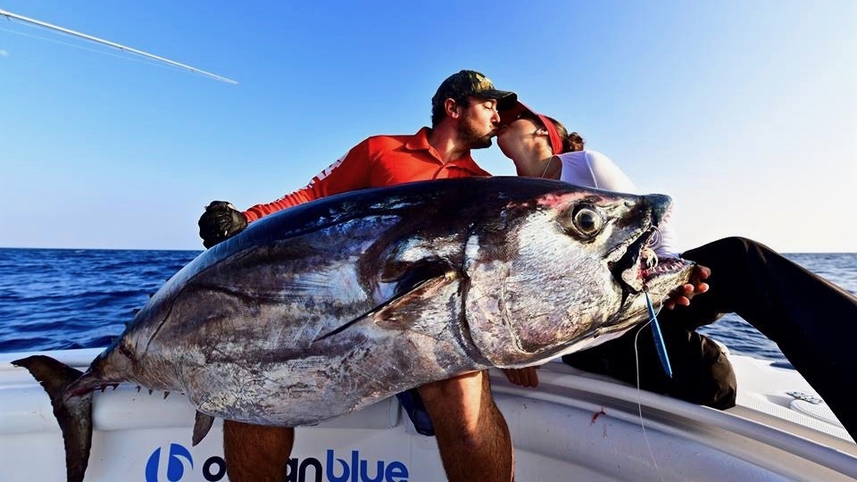Huge dogtooth tuna in Vanuatu
