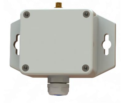 A Elsys ELT-2 LoRaWAN sensor, which you can use for temperature and flow measurements.