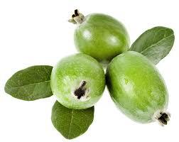 C:\Users\Mazhar Sayeed\Pictures\Govava tender fruit un-riped.jpg