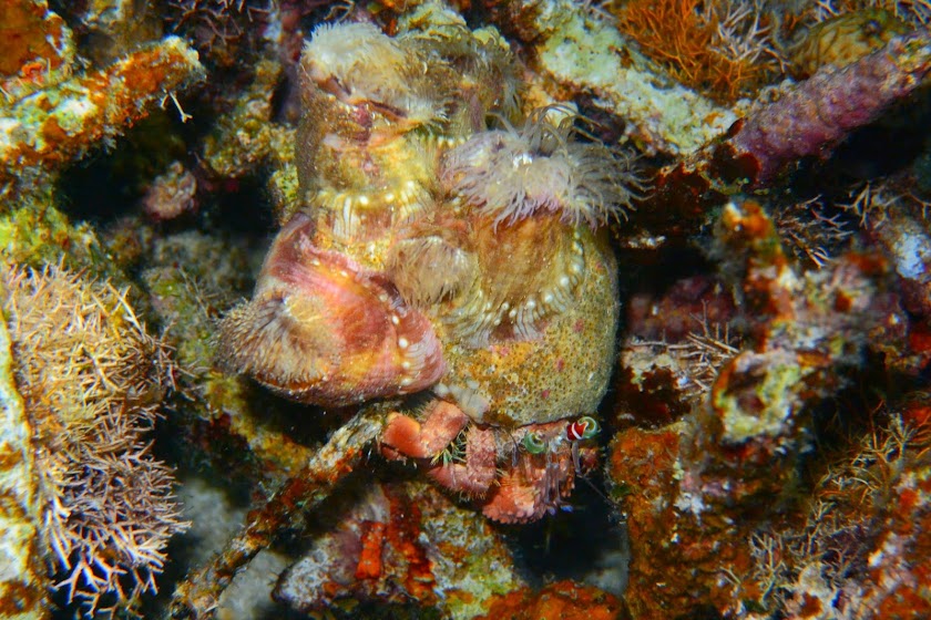 Наши первые Филиппины! (Фотоотчет)