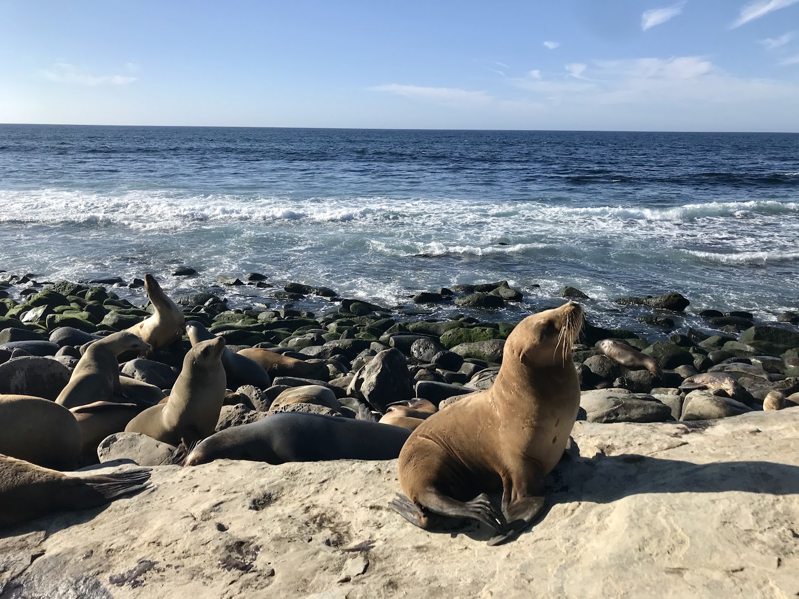 southern california coast