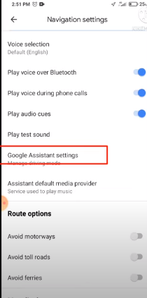 Google Assistant Settings