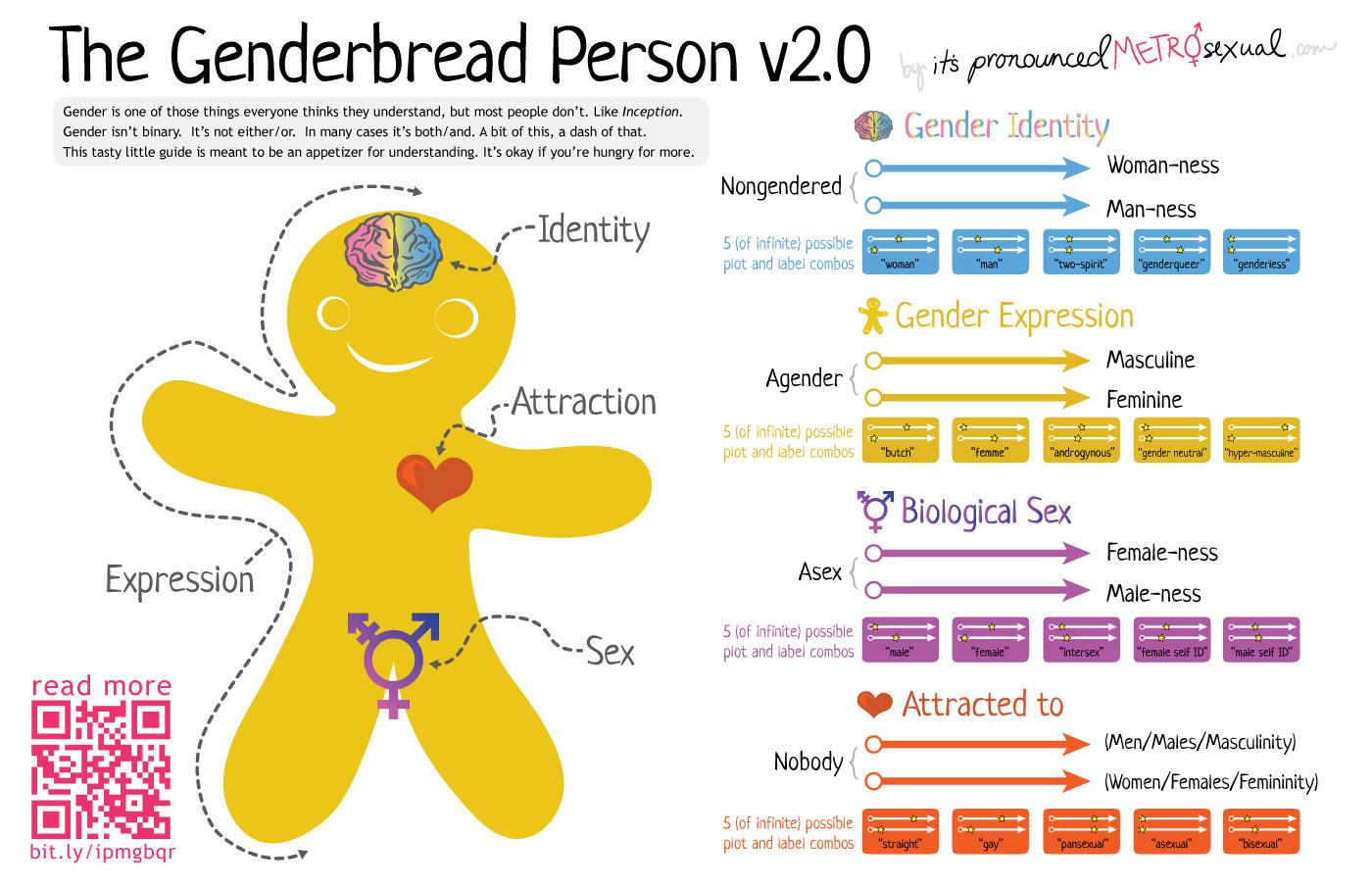 The Genderbread Person v2.0: An illustration of a gingerbread man showing the different spectrums of gender identity, gender expression, biological sex, and attraction.