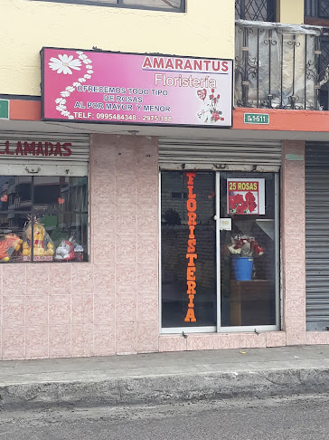 Amarantus Floristería