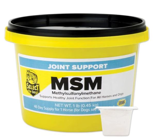 MSM Joint Support
