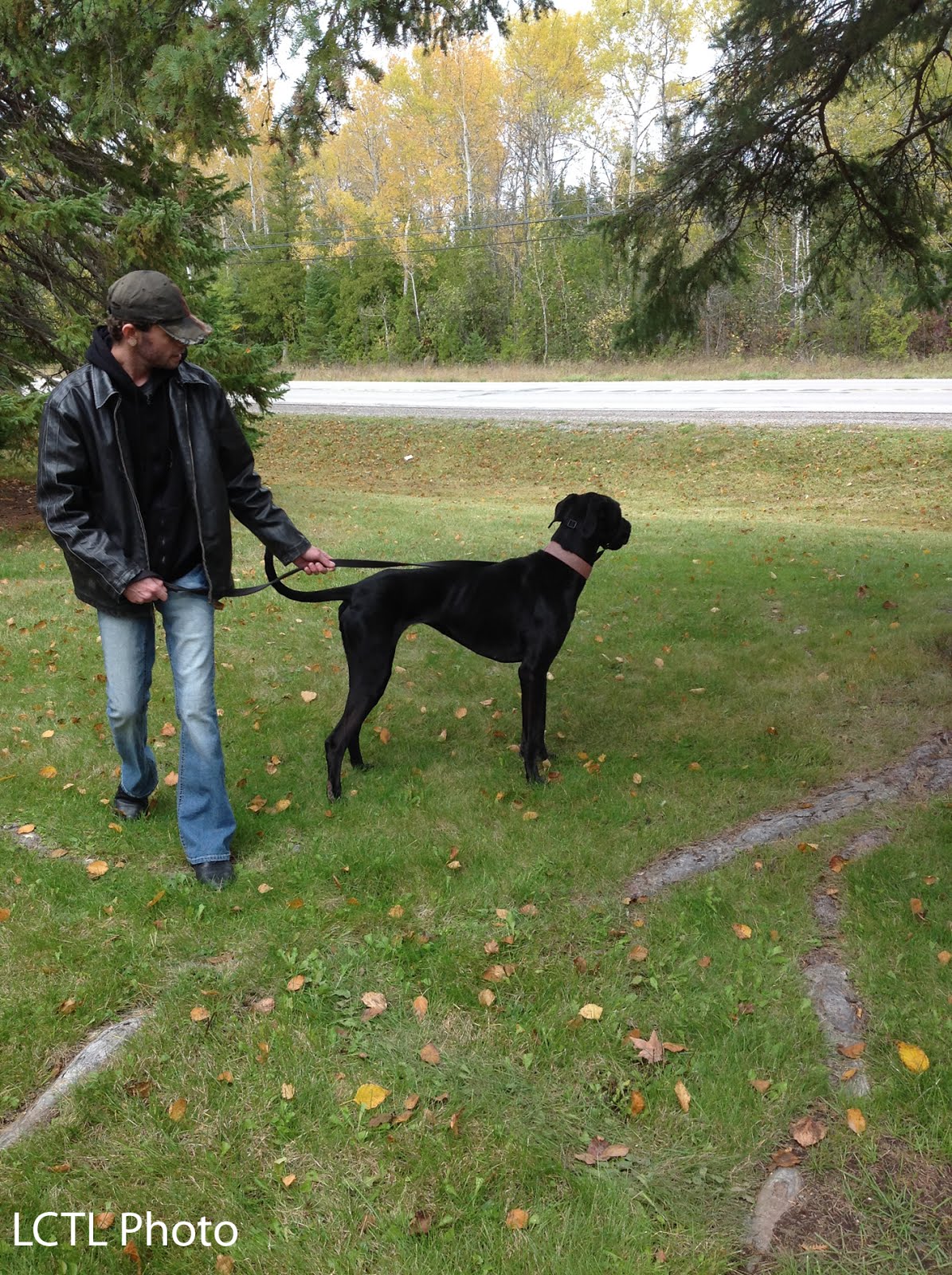 activities_walkdog_1.JPG