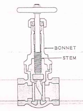 Stem Designs