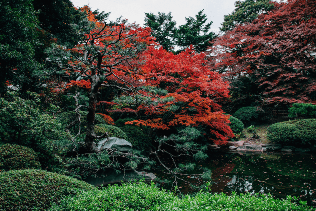 Shirokane area guide tokyo weekender