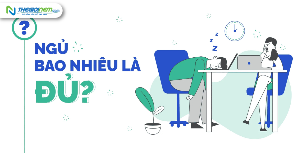 Đâu là thời điểm ngủ và thức dậy tốt nhất cho chúng ta?