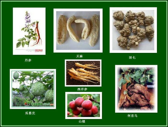 专家：血管老化和去除动脉粥样硬化斑块的方法 - 閒靜 - √