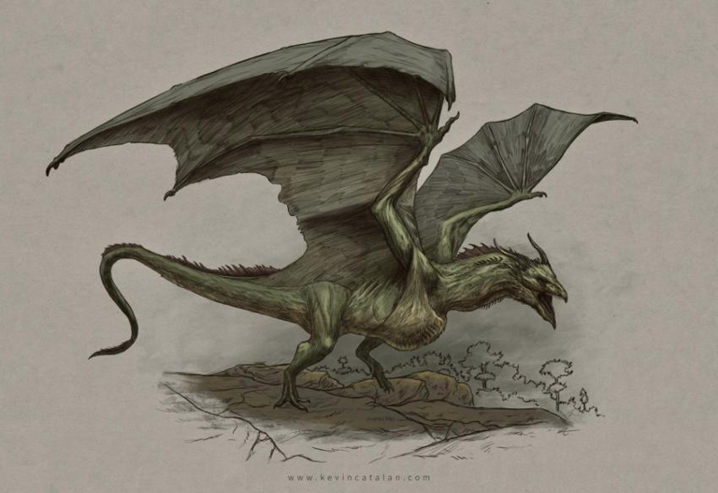 Illustrated Wyvern for dragons for Entertainment