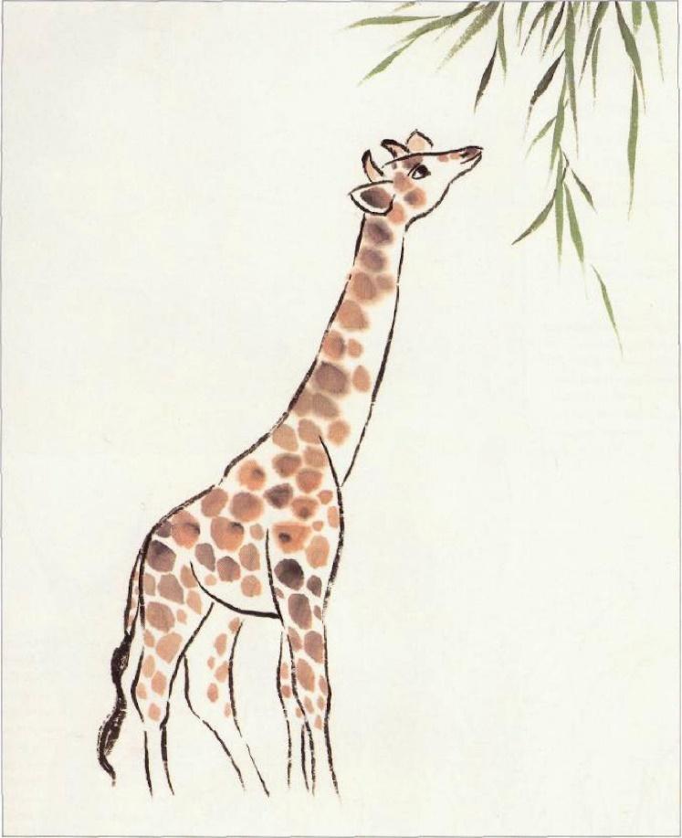 На рисунке изображен жираф. Рисование животных. Рисунки любых животных. Нарисовать животное. Любые животные рисунки.