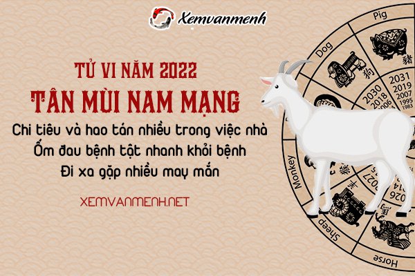 tu-vi-tuoi-tan-mui-nam-2022-nam-mang-1991