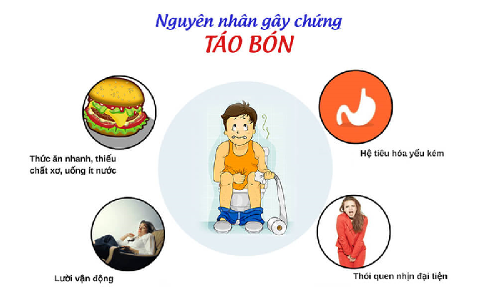 Nguyên nhân ra gây bệnh táo bón