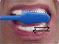 Cara Menyikat Gigi yang Baik dan Benar: YUUUUUUK MENYIKAT GIGI !!!