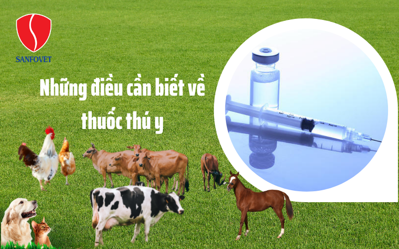 Thuốc thú y là gì