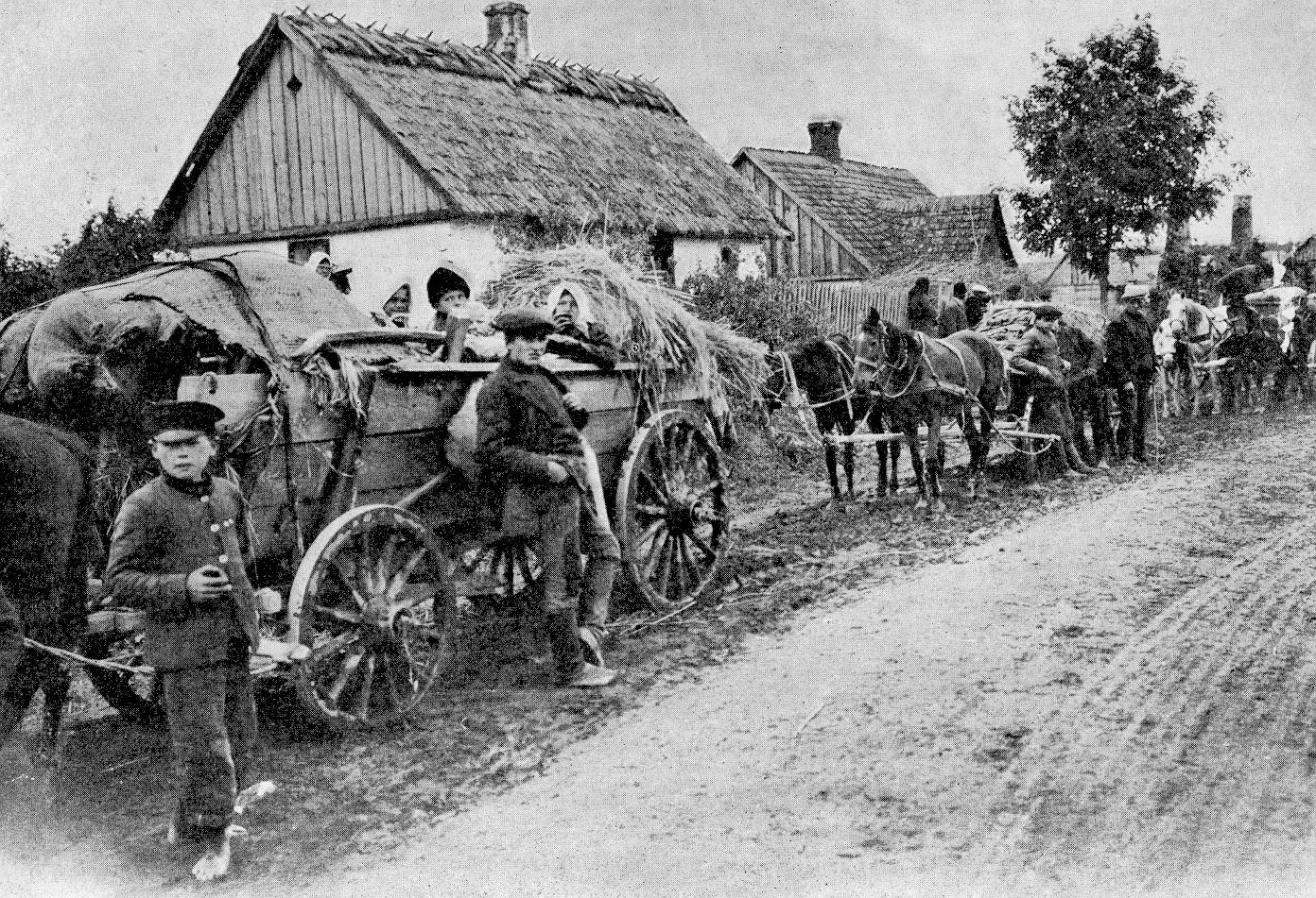 Валка біженців. 1915 рік