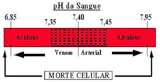 https://blogger.googleusercontent.com/img/b/R29vZ2xl/AVvXsEibmhlkXIeuTYHfFxhXBwhMpmHo8Nubq8KIeoeJoq15WWOTBA5qzwb9uB9oxPXdsNm_BJBF11S6QbpoRUrUvp8NT0j-uJ2IASiOE6xQwOANqIulRgiPGN88r53RfAj4CdrFy81FV8vwdlQN/s320/Captura+de+tela+inteira+29062017+233131.bmp.jpg