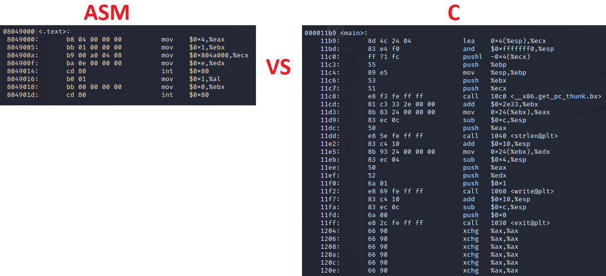 Comparing the object dump out of the NASM and C based Hello World programs