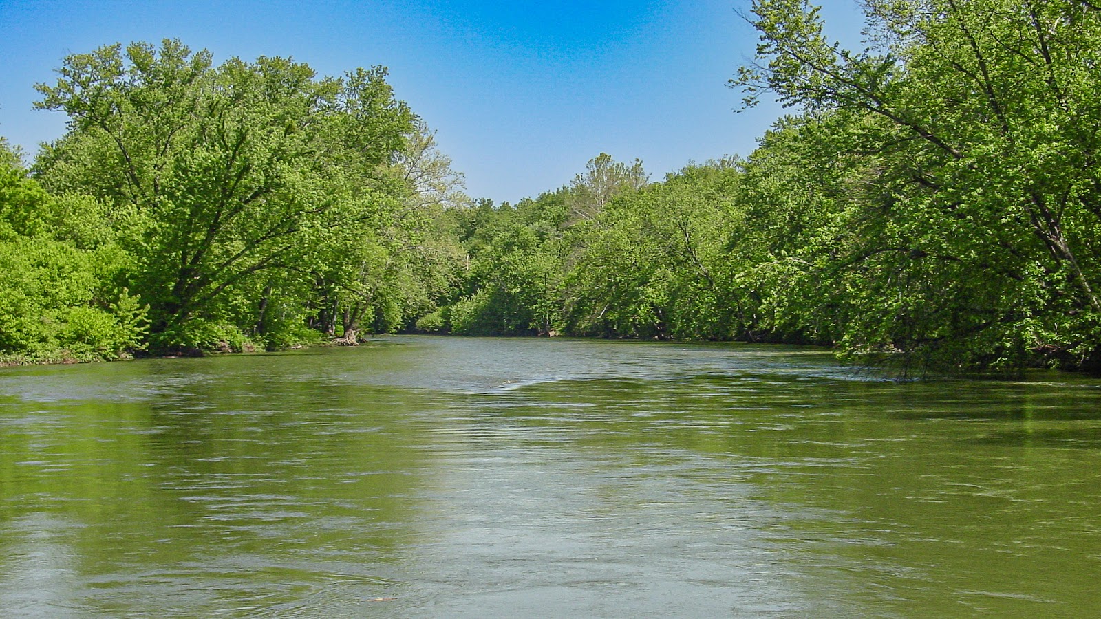 A wide river flowing quickly with green trees on either side 