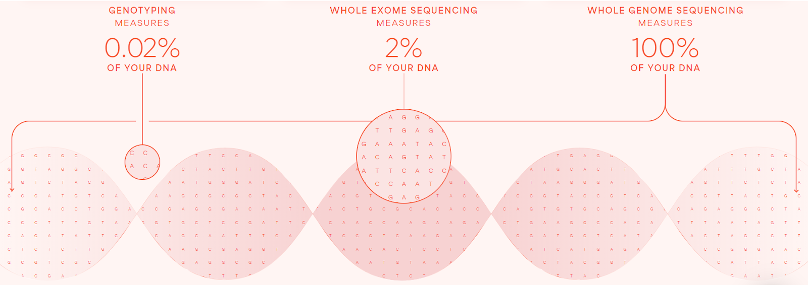 Diagram depicting the percent of your DNA measured by gentotyping, Whole exome sequencing, and Whole genome sequencing at Sano Genetics