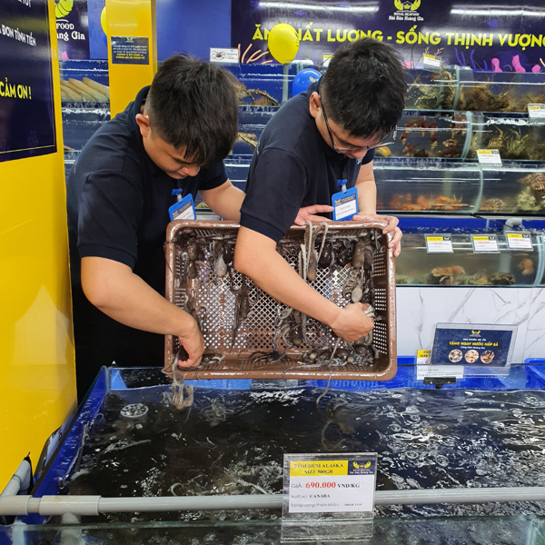 Hải sản Hoàng Gia - địa chỉ mua sắm hải sản tươi sống tin cậy tại Hà Nội