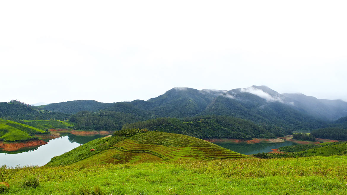 Bandipur Tiger Safari, karnataka (Best Time to Explore Tiger Safari in India)