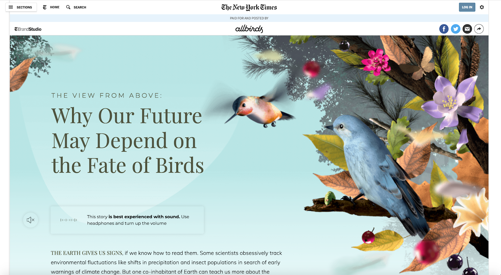 New york times website color schemes examples