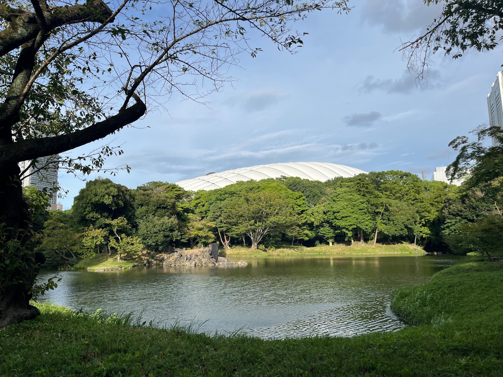 中央にある大きな池、「大泉水」の背後には東京ドームと東京ドームホテルが見えます。都会と自然美の調和もまた趣がありますね。