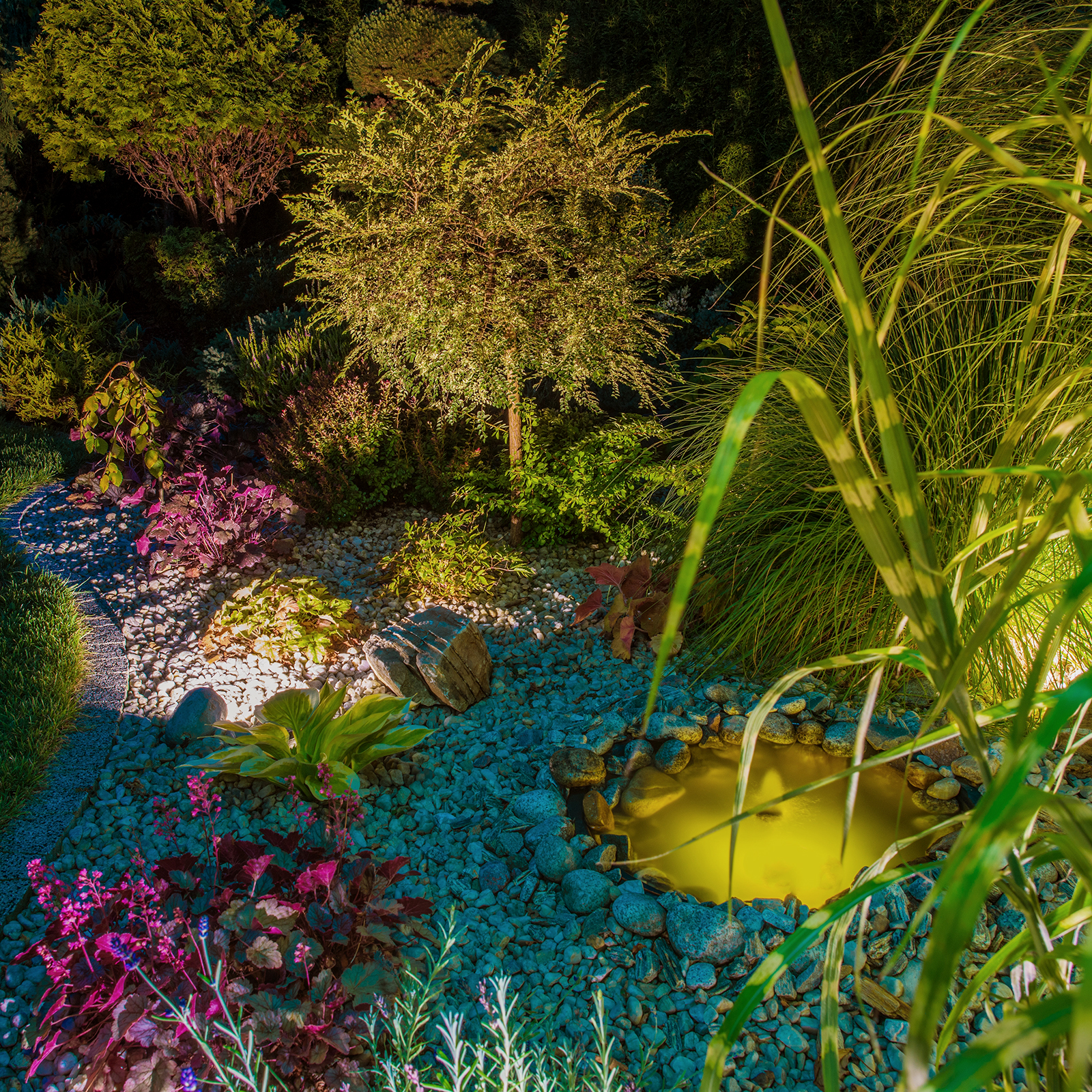 garden fountain and plants lit at night