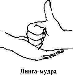https://lh4.googleusercontent.com/9rq4sYa1Xn3oSht2Q6OppohhOhFnXmn77XS7aXyOsKWsCwxXZpgidoN0boqjJASUucfKWKoeu4xbNlIxBdloLdBtzfL5o10WsnKRL36u0k-uIYORPGNnmULUf5jzXq7cA1vb5hebJQOIELyIR3WC